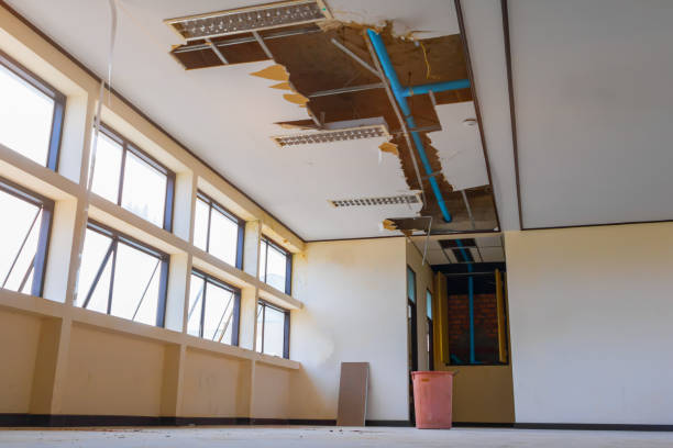 Best Ceiling water damage repair  in Hilbert, WI