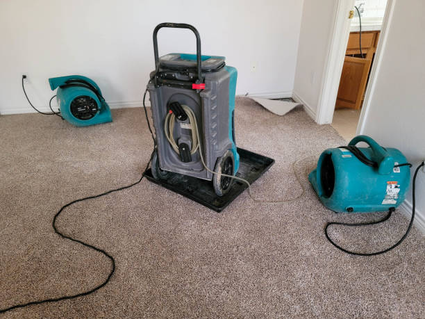 Best Local water damage restoration  in Hilbert, WI