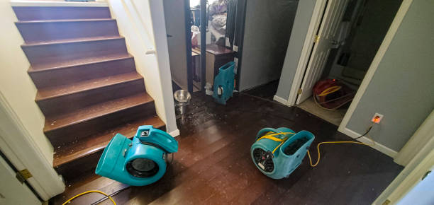 Best 24/7 water damage repair  in Hilbert, WI