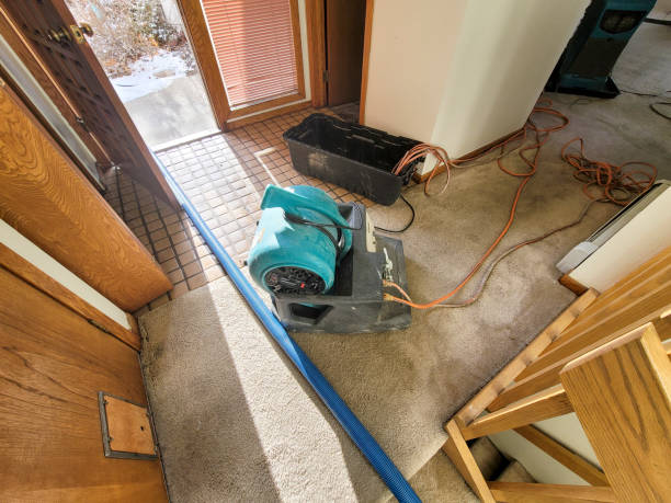 Best Water damage contractors near me  in Hilbert, WI