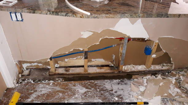 Best Basement water damage restoration  in Hilbert, WI