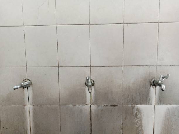 Best Flood damage cleanup  in Hilbert, WI