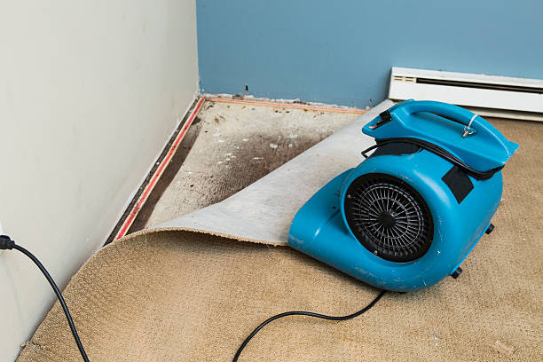 24/7 water damage repair in Hilbert, WI