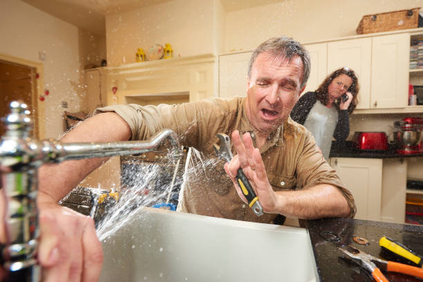 Best Mold removal after water damage  in Hilbert, WI